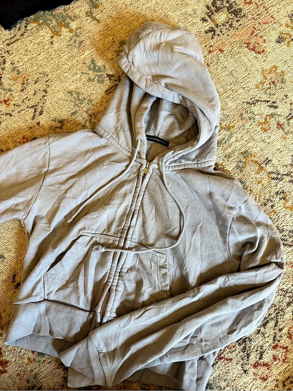 Brandy Melville Christy Hoodie in Blue